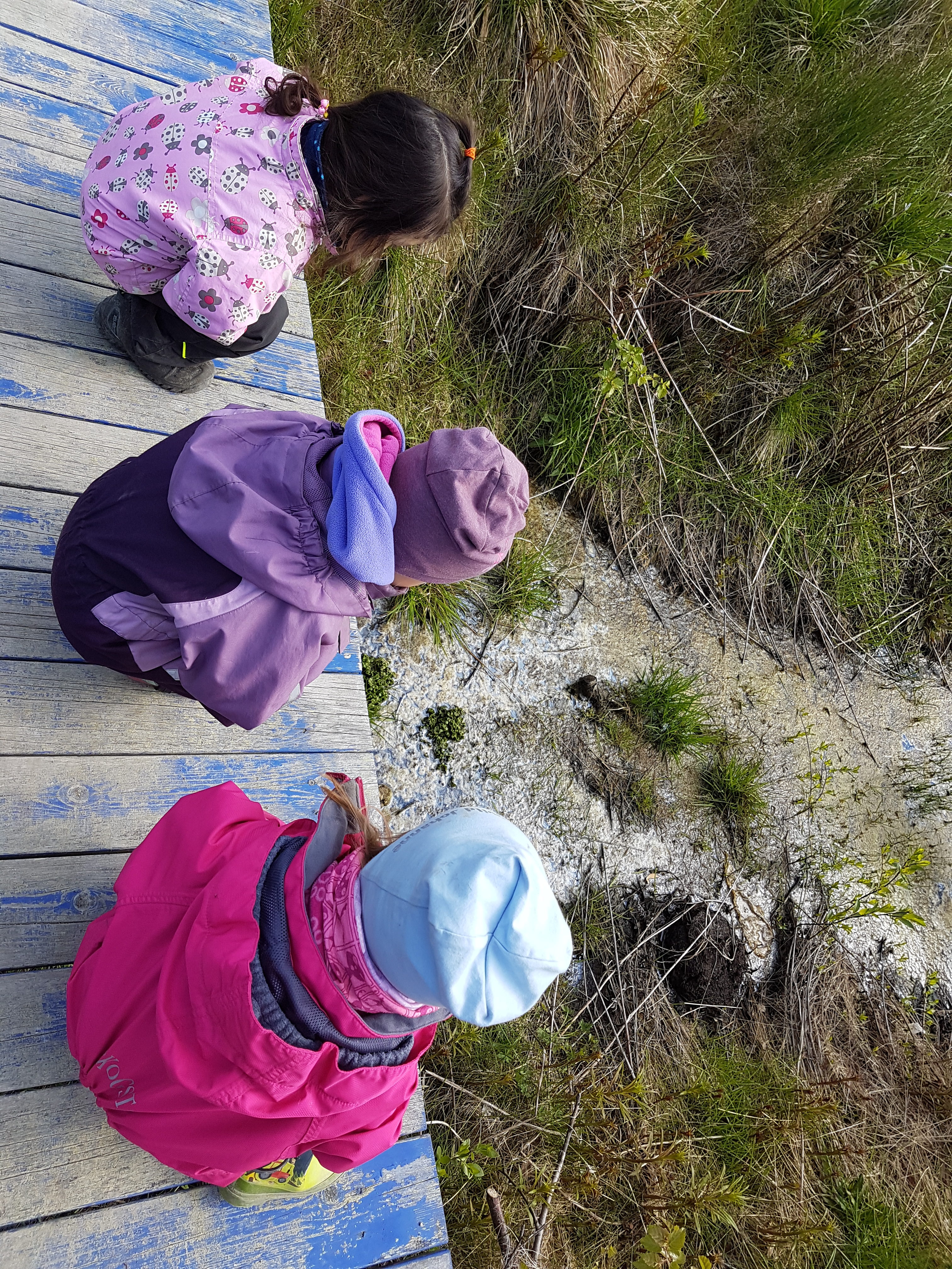 Beskyttet: Flere bilder fra Sandnesdalen