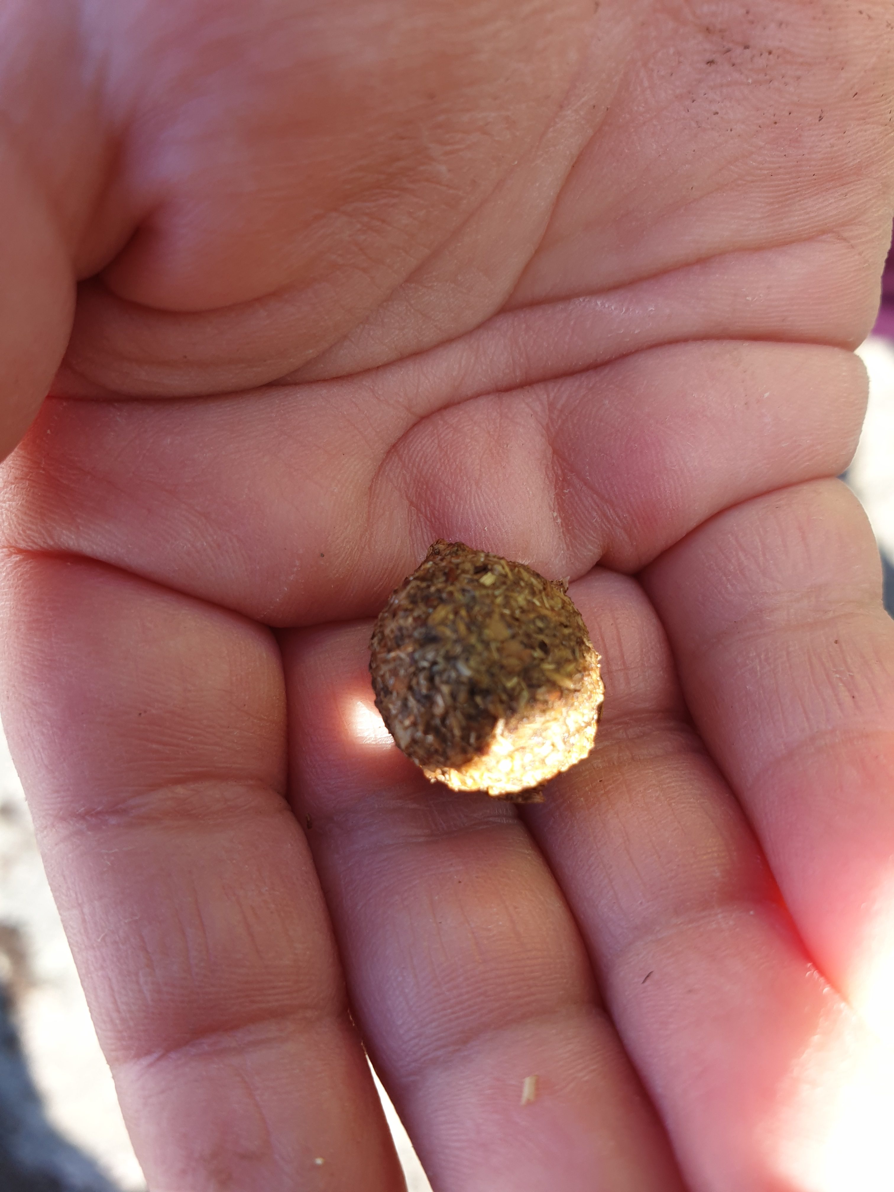 Beskyttet: Malmen utforsker nærområdet