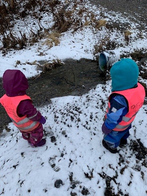 Beskyttet: Dagbruddet finner vårtegn