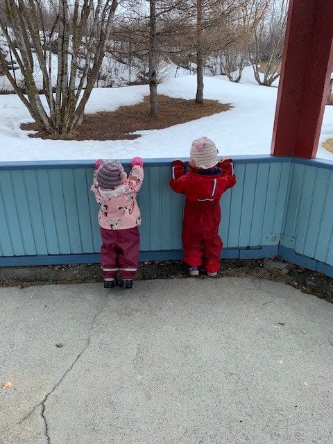 Beskyttet: Dagbruddet uke 21