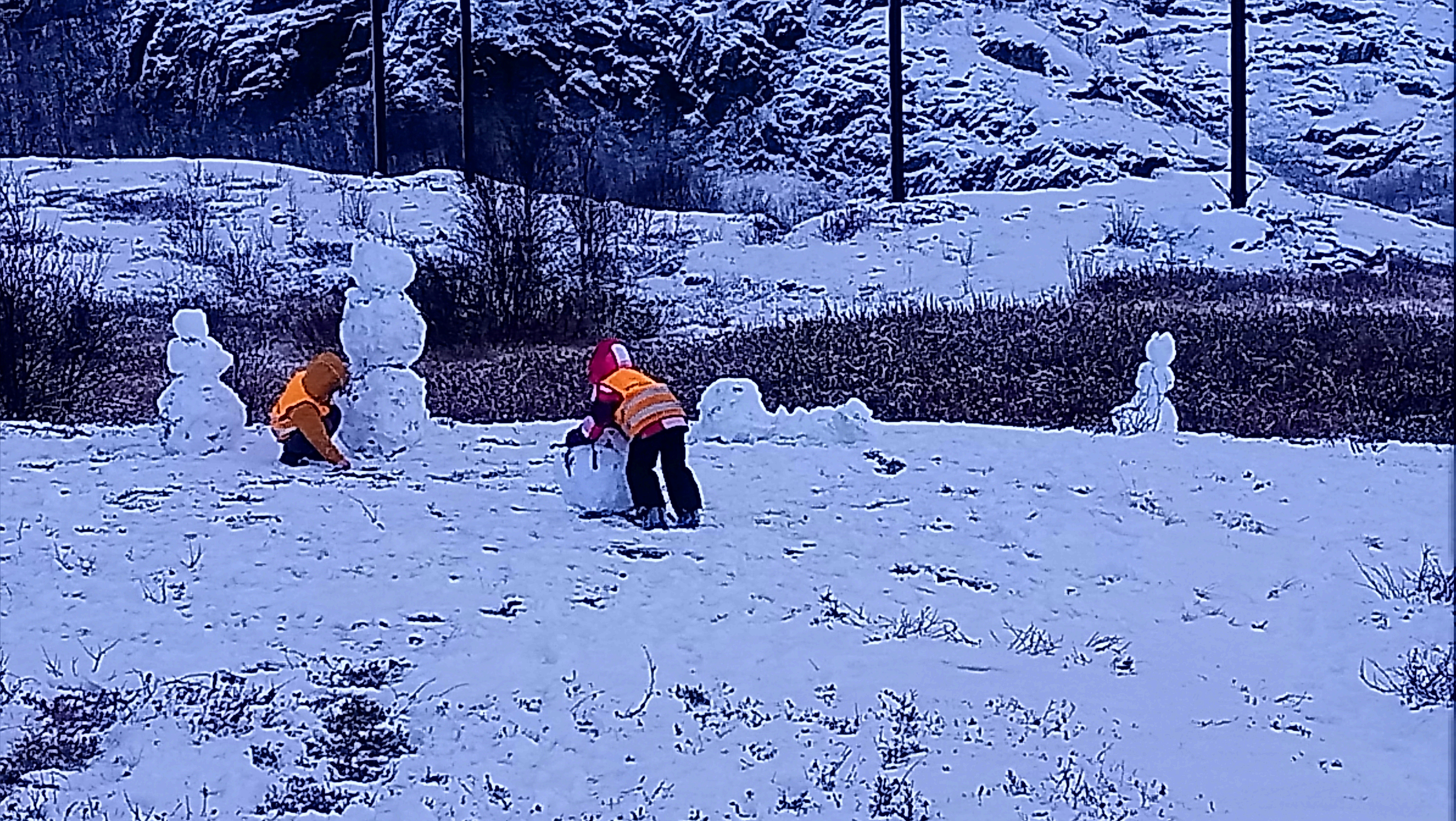 Beskyttet: Bilder fra gamma :)