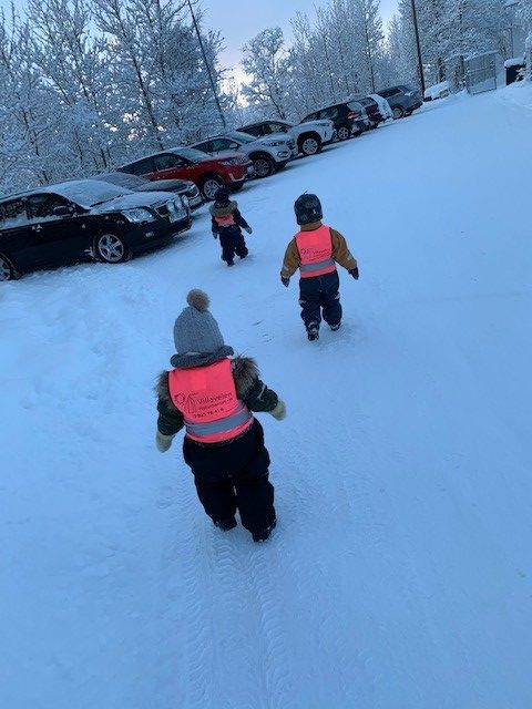 Beskyttet: Sola kom tilbake og Dagbruddet måtte ut for å se :)