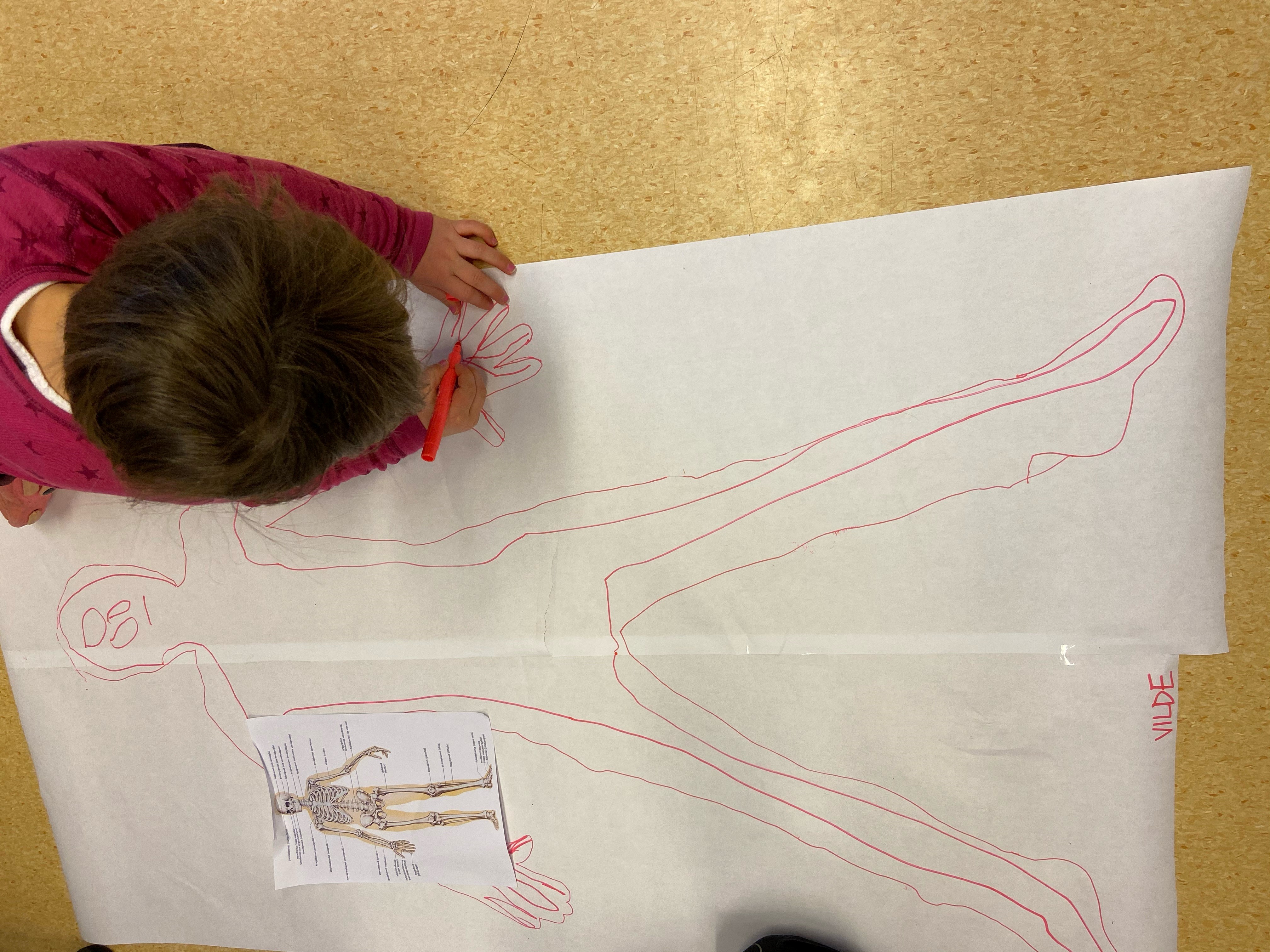 Beskyttet: Skolegruppa lærer om kroppen. I dag var tema skjelettet :)