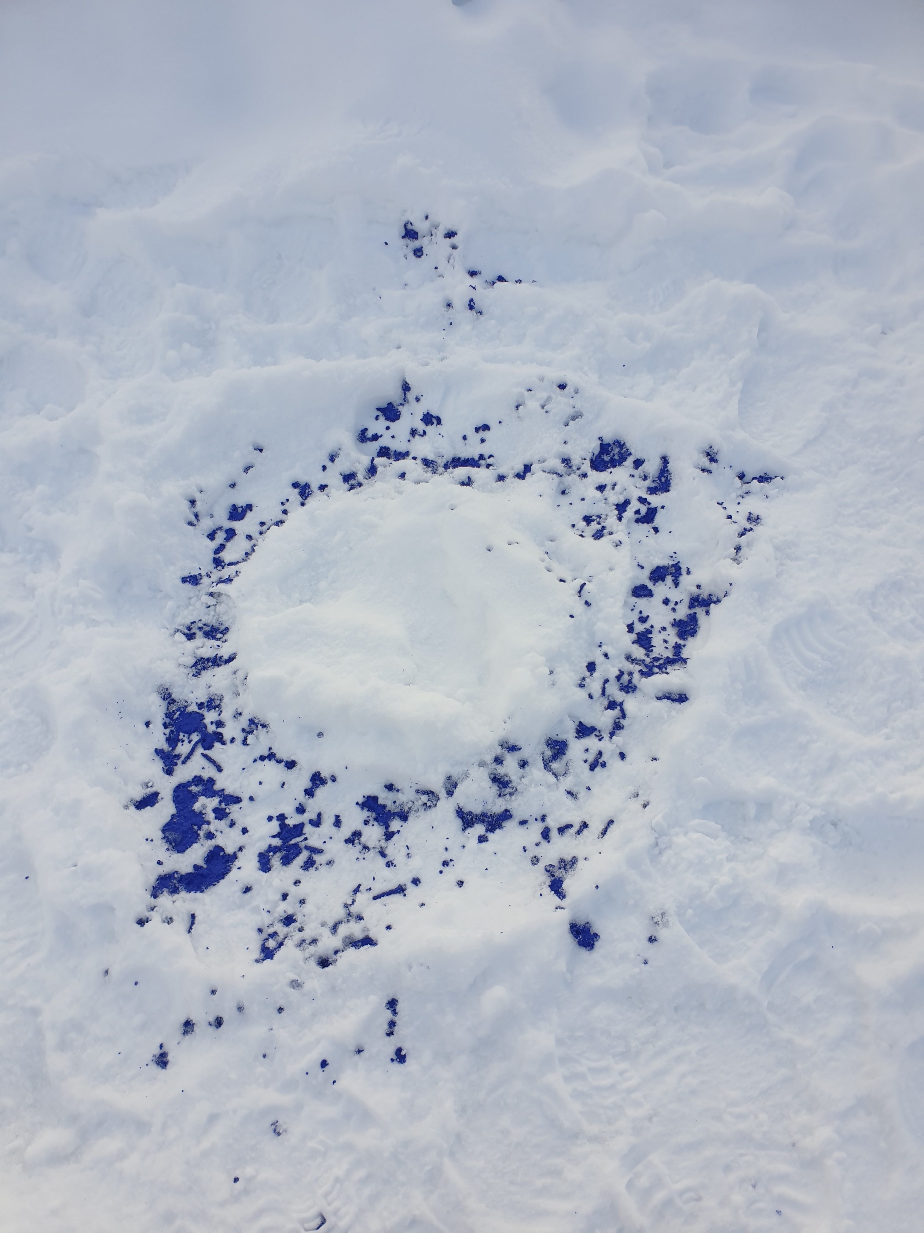 Beskyttet: Gruva jobber  med antall, rom og form