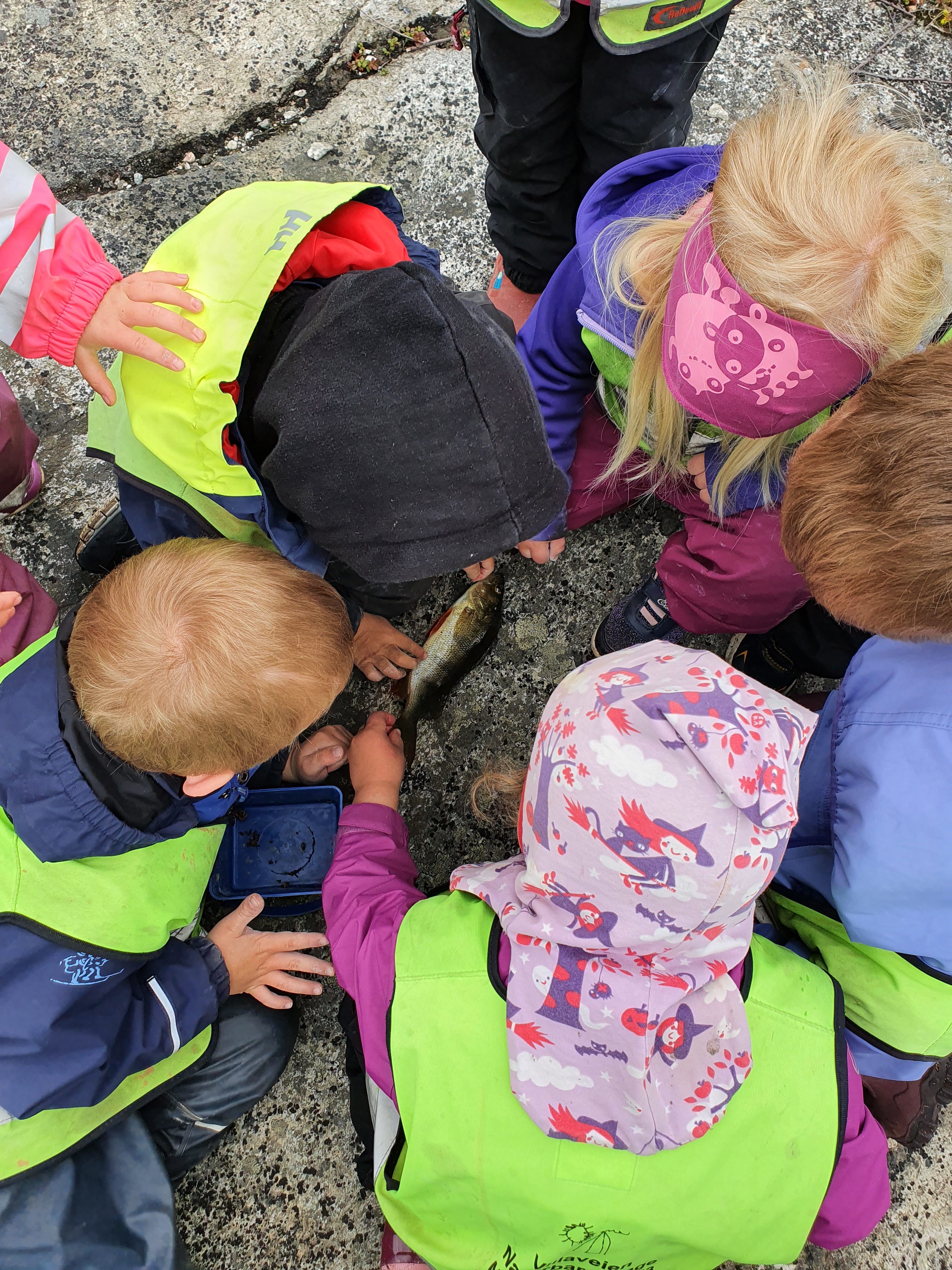 Beskyttet: Fisketur og formingsaktiviteter på Malmen