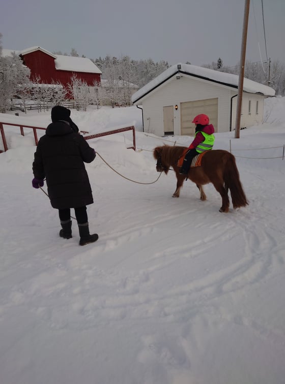 Beskyttet: Ridning (flere bilder kommer)